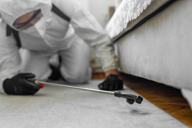 Professional Termite Control technician working in Rio Hondo, TX